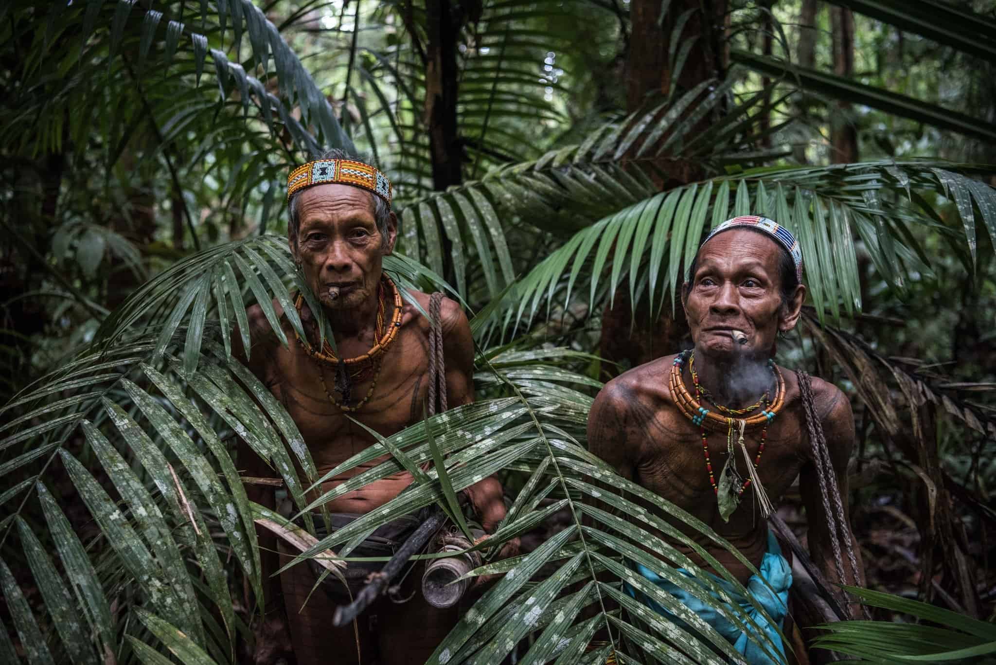 AIPP’s 6-Pillar Framework for Indigenous Empowerment and Collective Action