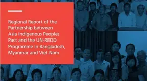 Regional Report of the Partnership between Asia Indigenous Peoples Pact and the UN-REDD Programme