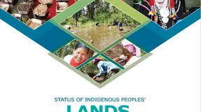 Status of Indigenous Peoples’ lands, territories and resources in Asia
