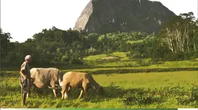 Indigenous Peoples’ Initiatives for Land Rights Recognition in Asia