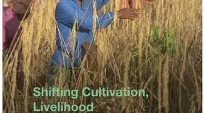 Shifting Cultivation, Livelihood and Food Security: New and Old Challenges for Indigenous Peoples in Asia