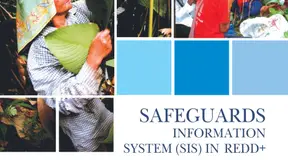 Safeguards Information System (SIS) in REDD+: What Should It Deliver for Indigenous Peoples?
