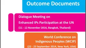 Outcome Documents: Dialogue Meeting on Enhanced IPs Participation at the UN and the World Conference on Indigenous Peoples (WCIP)