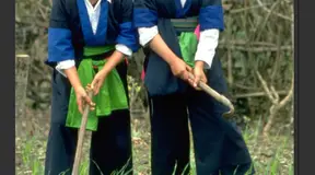 [UNDP] Social and Environmental Standards