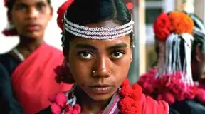 India: Stop forced evictions of Gonds in Panna Tiger Reserve