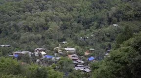 The Forest as Community Supermarket for Karen Indigenous Peoples in Thailand