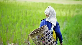 The Huay Ee Khang Model: Emerging Idea of “Indigenous Women’s Forest” to Embrace both People and Wildlife