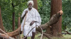 UNDER THE COVER OF COVID : New Laws in Asia Favor Business at the Cost of Indigenous Peoples’ and Local Communities’ Land and Territorial Rights