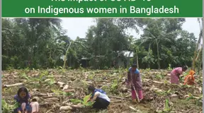 Briefing Paper: The Impact Of COVID-19 On Indigenous Women In Bangladesh