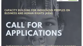 Call For Application: Capacity Building For Indigenous Peoples On Business And Human Rights (Asia)