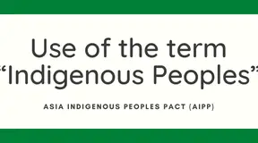 Use of the term “Indigenous Peoples”
