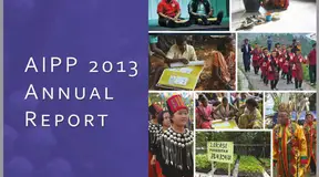 AIPP Annual Report 2013