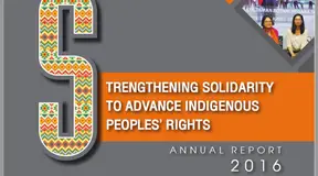 AIPP Annual Report 2016