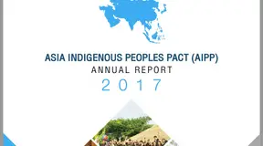 AIPP Annual Report 2017