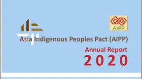 AIPP Annual Report 2020