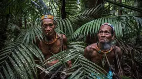 Protected Areas and Indigenous Peoples’ Rights: the Obligations of States and International Organizations