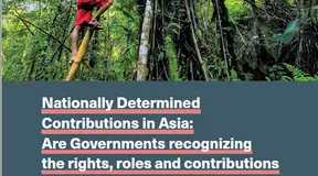 Southeast Asia Sub-Regional Report: Country Reports From Malaysia, Philippines, And Indonesia