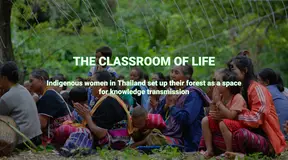 The Classroom of Life [English]