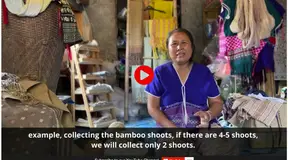 Indigenous Peoples’ Voices on Biodiversity: Ms. Noraeri Thungmuangthong – Thailand