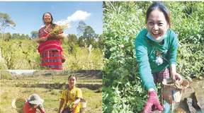 Indigenous Women’s Customary Land Tenure – A Study of Three Communities in Northern Thailand