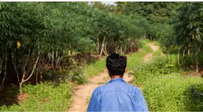 Rights Groups Call For Greater Public Input In ASEAN Environmental Rights Framework