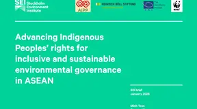Advancing Indigenous Peoples’ rights for inclusive and sustainable environmental governance in ASEAN