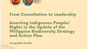 From Consultation to Leadership: Asserting Indigenous Peoples’ Rights in the Update of the Philippine Biodiversity Strategy and Action Plan