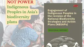 Engagement of Indigenous Peoples in the revision of the National Biodiversity Strategies and Action Plans (NBSAPs): Regional Report