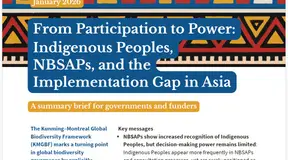 From Participation to Power: Indigenous Peoples, NBSAPs, and the Implementation Gap in Asia