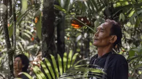 Many Indigenous Peoples in Asia feel excluded from nat’l biodiversity planning: Report