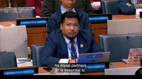 UNPFII25: Item 5 (g) – Thematic dialogue on the financing of Indigenous Peoples’ work and participation across the multilateral and regional system