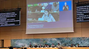EMRIP19: Item 6 – Country Engagement