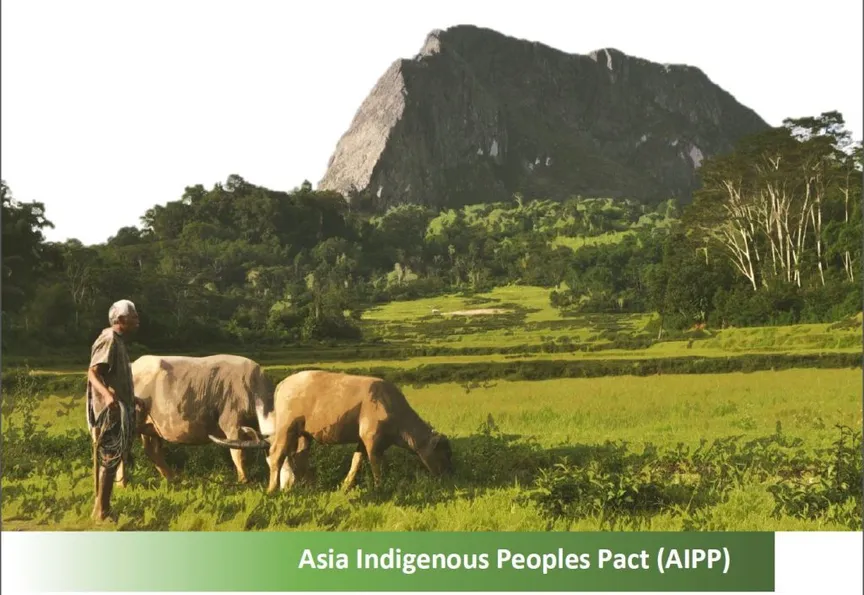 Indigenous Peoples’ Initiatives for Land Rights Recognition in Asia