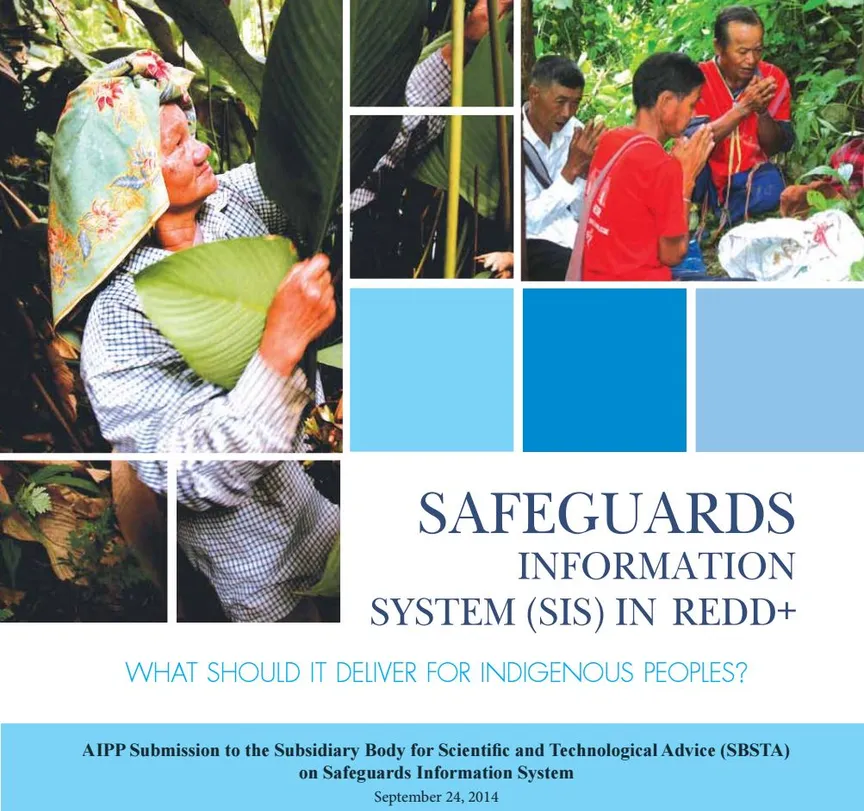 Safeguards Information System (SIS) in REDD+: What Should It Deliver for Indigenous Peoples?