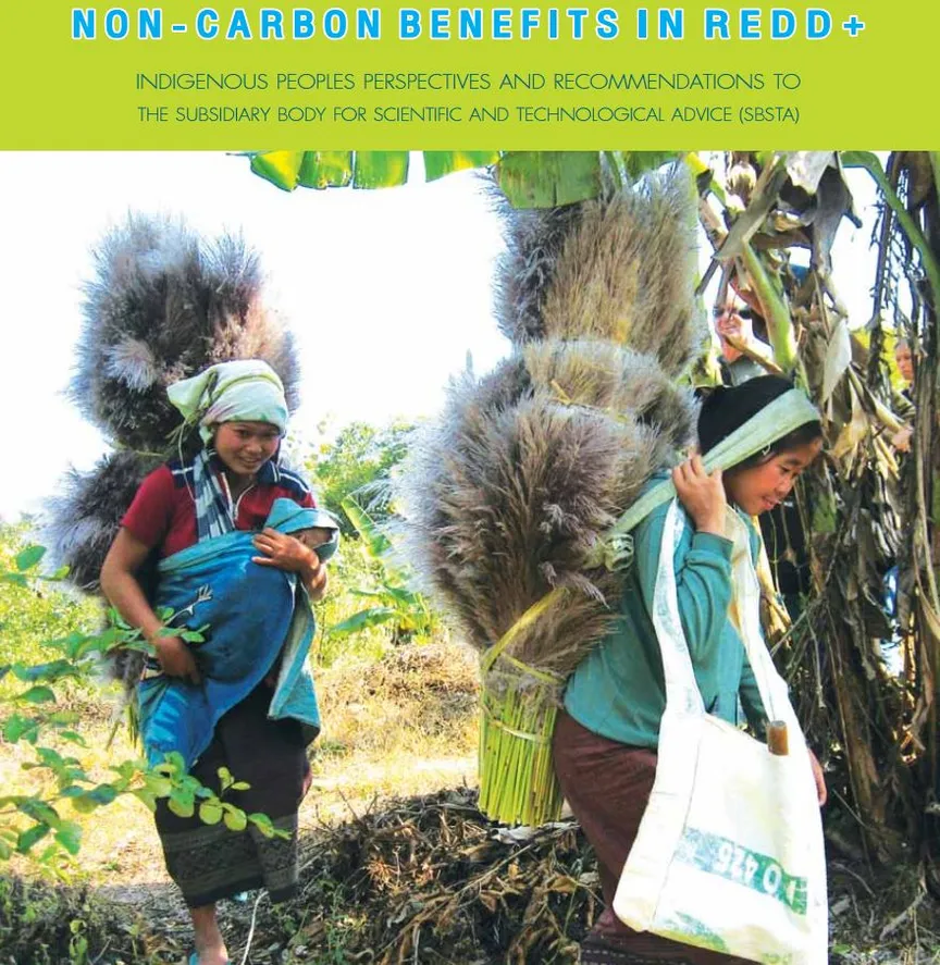 Non-Carbon Benefits (NCBs): Indigenous Peoples’ Perspectives and Recommendations