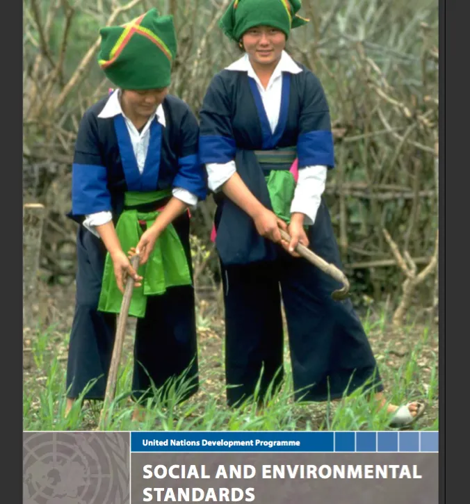 [UNDP] Social and Environmental Standards
