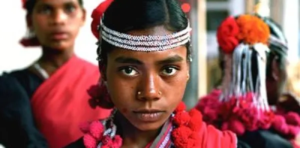 India: Stop forced evictions of Gonds in Panna Tiger Reserve