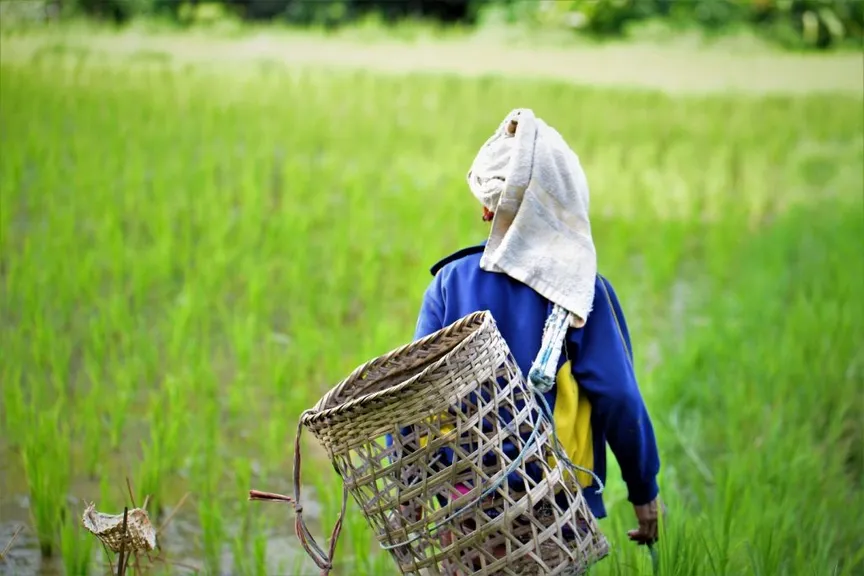 The Huay Ee Khang Model: Emerging Idea of “Indigenous Women’s Forest” to Embrace both People and Wildlife