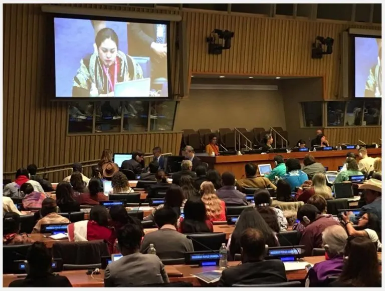 UNPFII16: Asia Indigenous Peoples Caucus Intervention to the 16th Session of the UN Permanent Forum on Indigenous Issues