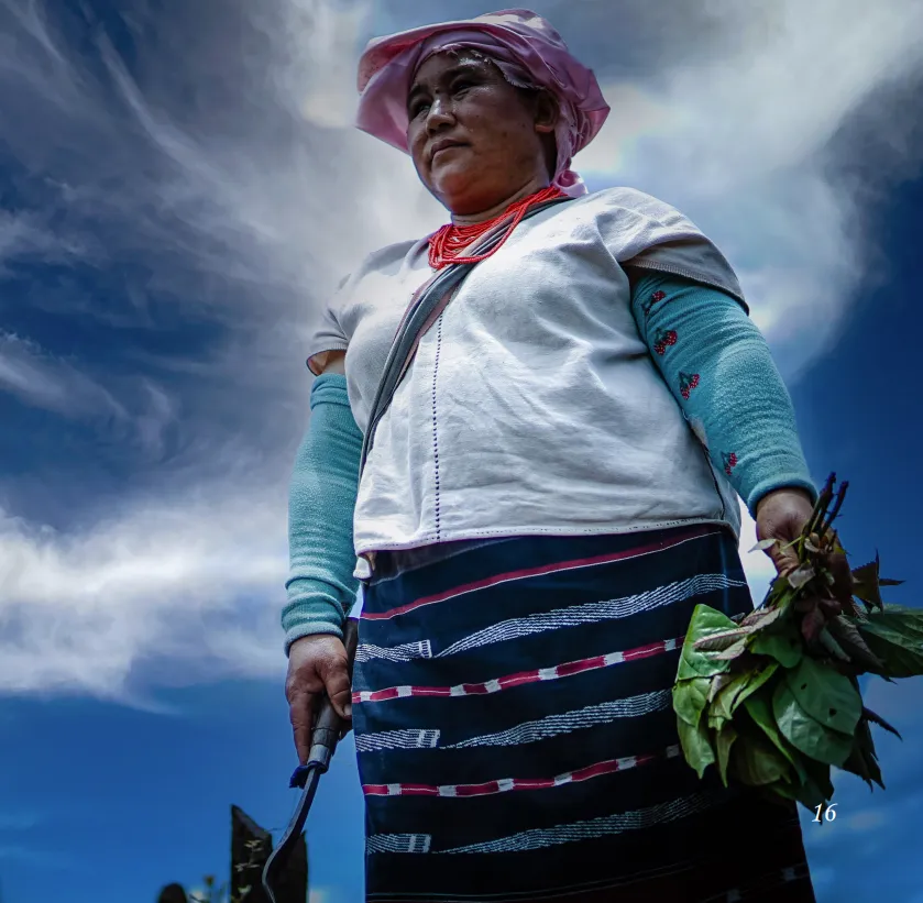 CELEBRATING AND AMPLIFYING HER STORIES: INDIGENOUS WOMEN, ANCESTRAL WISDOM