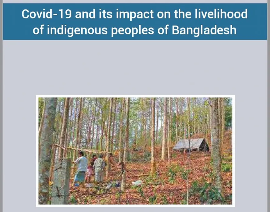 Briefing Paper: Covid-19 And Its Impact On The Livelihood Of Indigenous Peoples Of Bangladesh