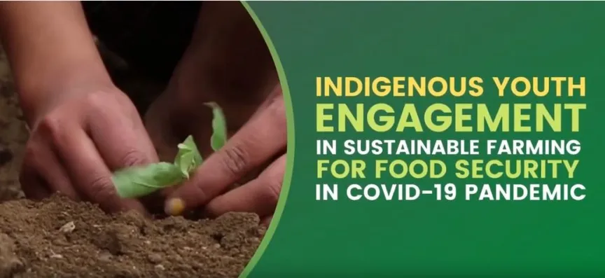 Nepal: Indigenous Youth Engagement in Sustainable Farming for Food Security in COVID-19 pandemic