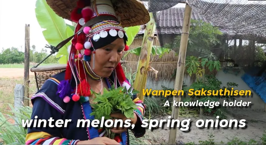 The Nine Level Agriculture of the Akha People