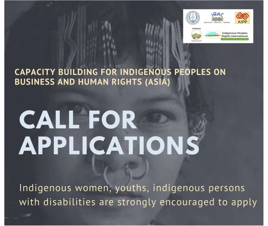 Call For Application: Capacity Building For Indigenous Peoples On Business And Human Rights (Asia)