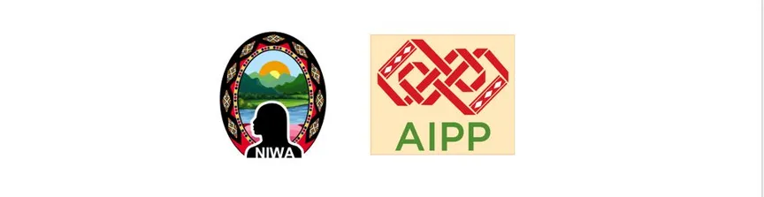 Joint Statement of Asia Indigenous Peoples Pact Foundation and Network of Indigenous women in Asia (NIWA) on Violence against Indigenous women and girls