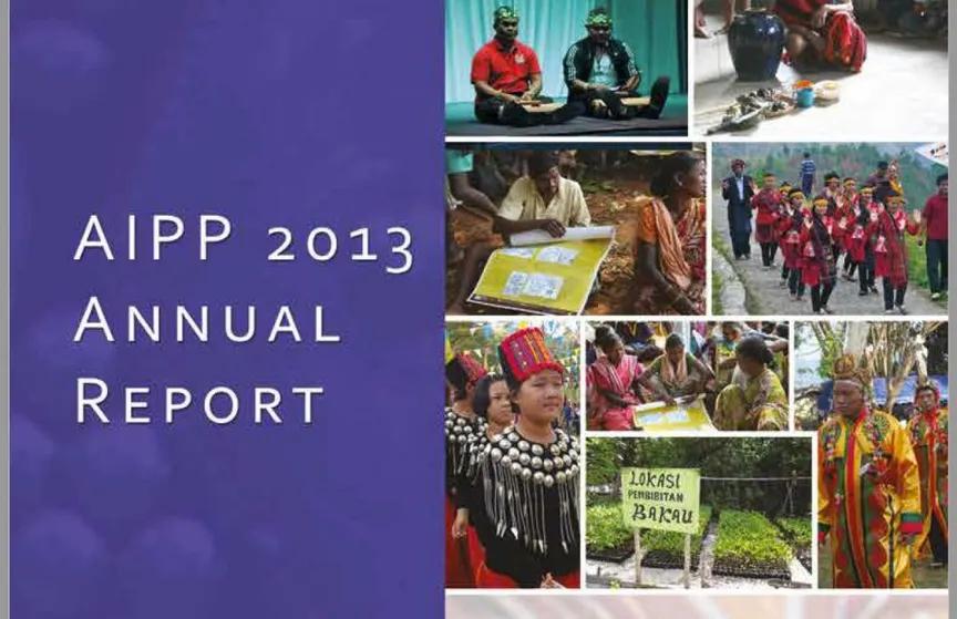 AIPP Annual Report 2013