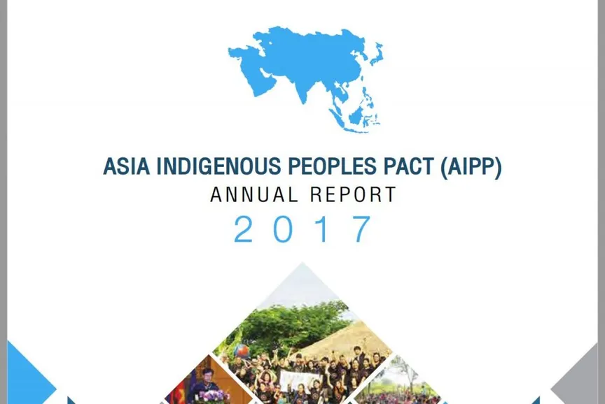 AIPP Annual Report 2017