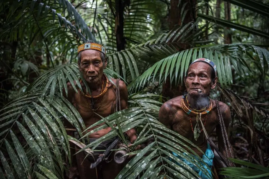Protected Areas and Indigenous Peoples’ Rights: the Obligations of States and International Organizations