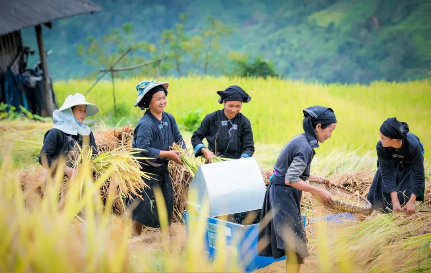 Indigenous Peoples’ rights in NDCs: Initial observations from Asia