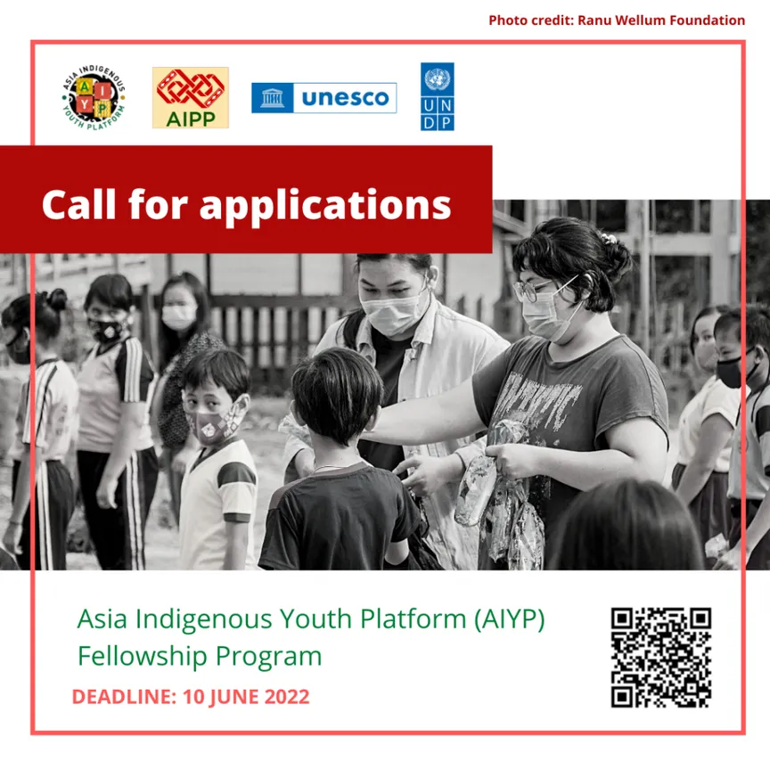 Call For Applications For AIYP Fellows